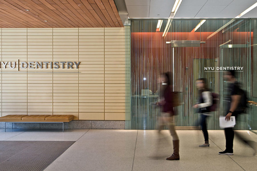 New York University